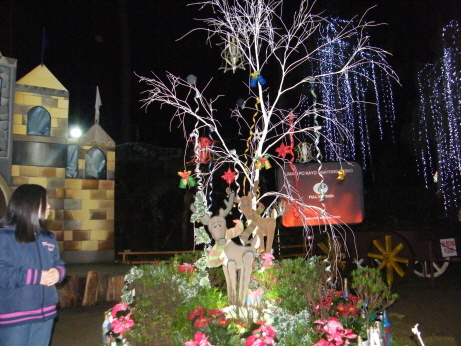 ũ⺯ȯ_DSCF0206.JPG