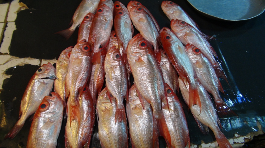 ũ⺯ȯ_DSC07490.JPG