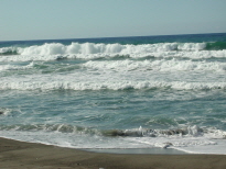 ũ⺯ȯ_Dscn4305.jpg
