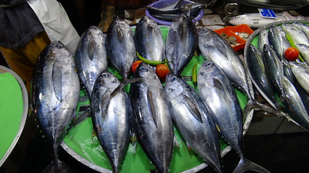 ũ⺯ȯ_DSC07485.JPG