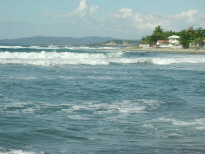 ũ⺯ȯ_Dscn4310.jpg