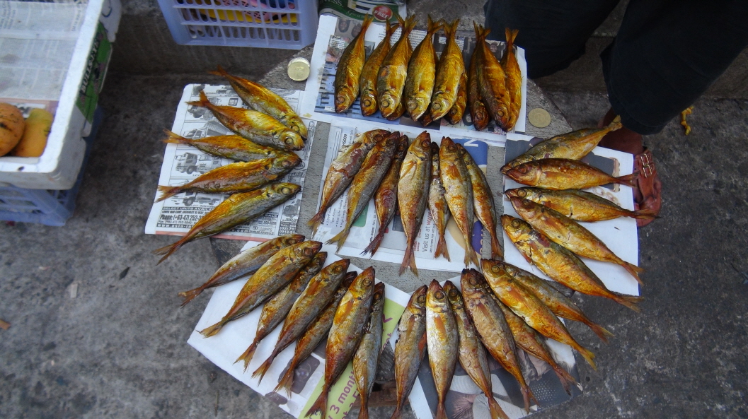 ũ⺯ȯ_DSC07509.JPG