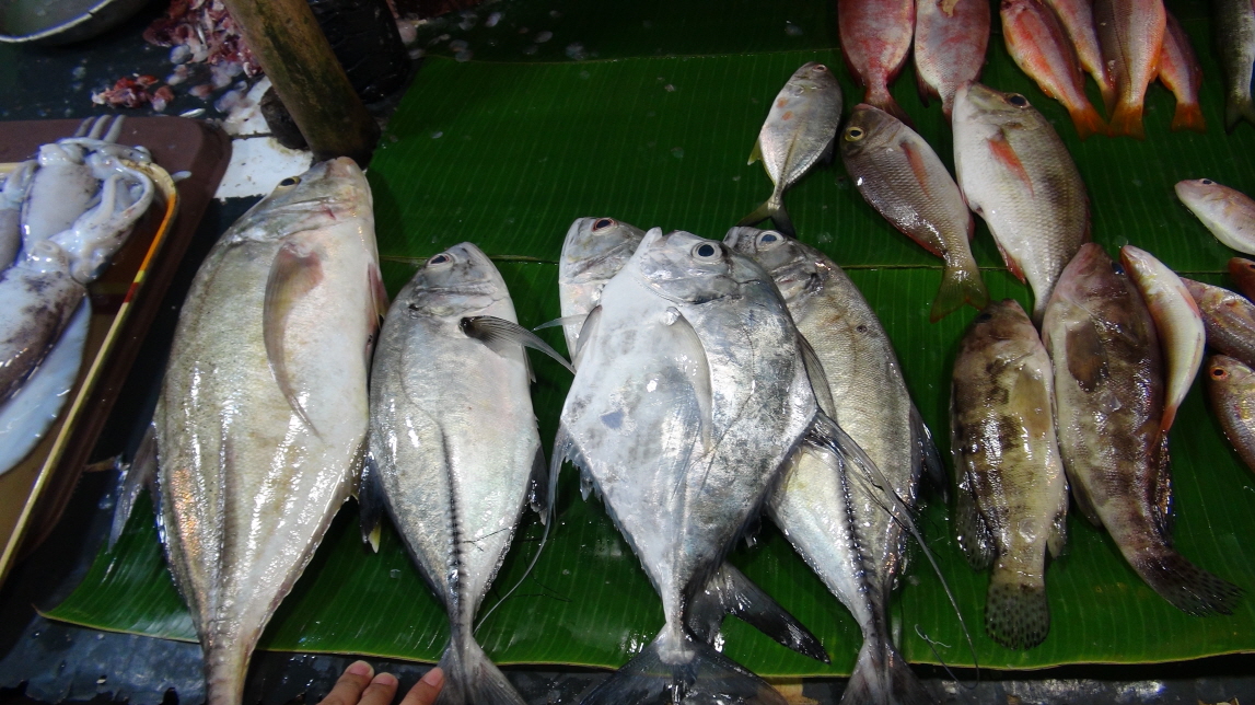 ũ⺯ȯ_DSC07489.JPG