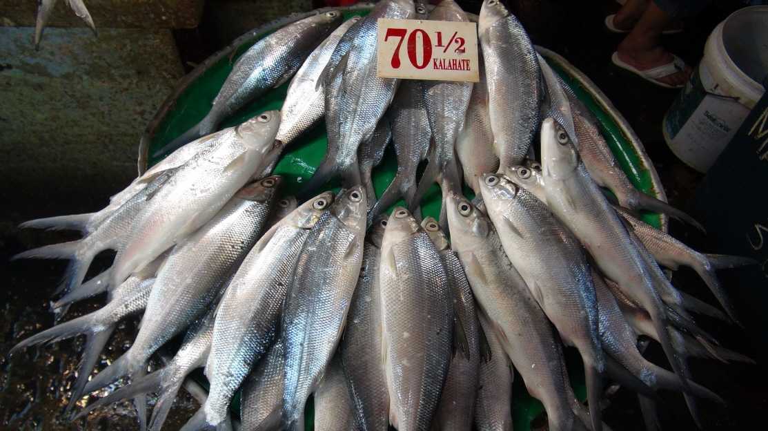 ũ⺯ȯ_DSC07484.JPG